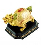 Feng Shui Dragon Turtles